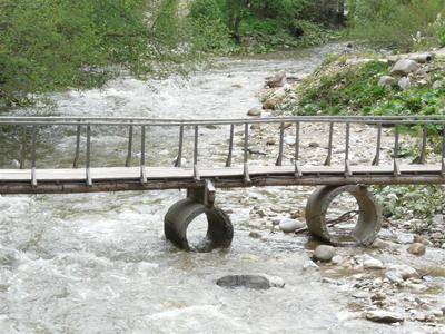 P1020703 (Medium).JPG