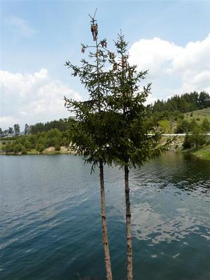 P1020671 (Medium).JPG